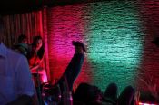 img_2268small.jpg